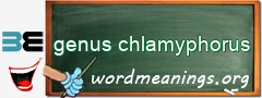 WordMeaning blackboard for genus chlamyphorus